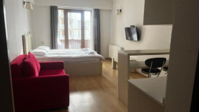 Magic mountain apartment Gudauri